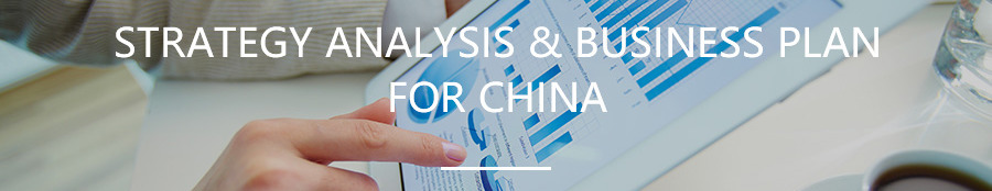Strategy analysis & business plan for China
