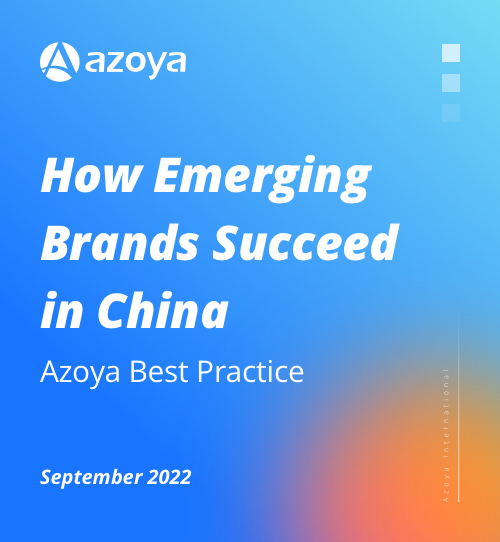 How Emerging Brands Succeed in China